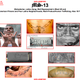 Image for article titled The US Army Guide That Teaches Soldiers To Recognize Terrorist Logos